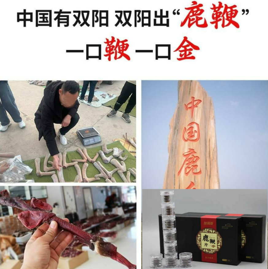 点击打开原图