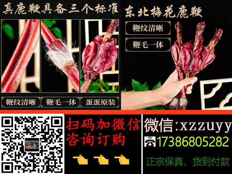 鹿鞭功效