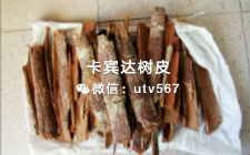过年了说说“饭后百步走，活到九十九”这句话有道理么？