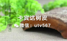 相信许多的朋友在选择卡宾达树皮时有以下疑问