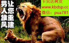 安哥拉壮阳树皮是真的吗？