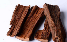 誉为“安第斯皇后”的卡宾达树皮泡酒还是泡茶好？