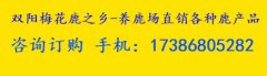 鹿鞭膏哪个牌子好？是不是贵的就