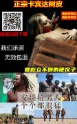 跟我们细说一下安哥拉树皮怎样泡茶喝