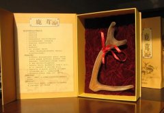 什么汤可以搭配鹿尾