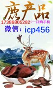 【广东深圳】金可汗鹿鞭丸哪里产的