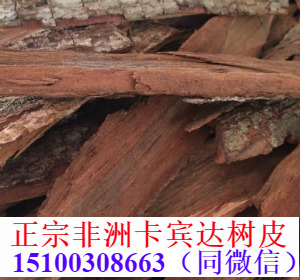 鹿鞭膏在哪些药店可以买到
